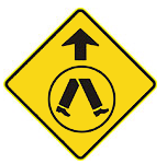 K53 LEARNER LICENCE